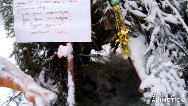 Выпал снег. Новая сказка в предновогоднем лесу.