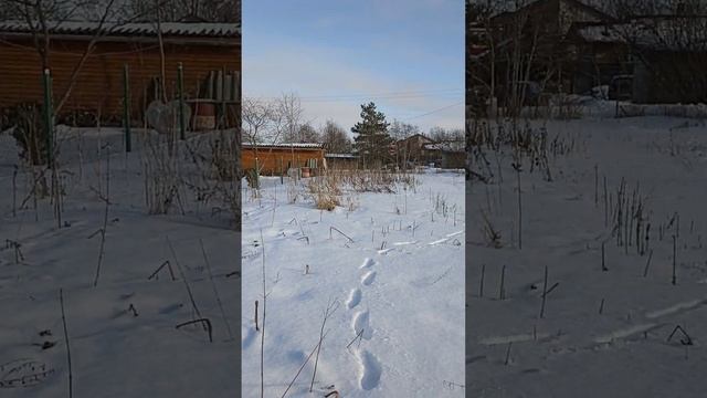 Участок 10 соток. Объект Ломоносовский район. СНТ Михайловское