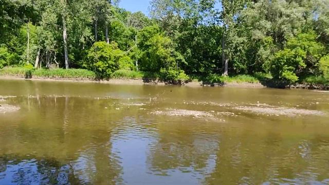 Ловись рыбка большая и маленькая/ Fishing Sun Fish смотреть онлайн