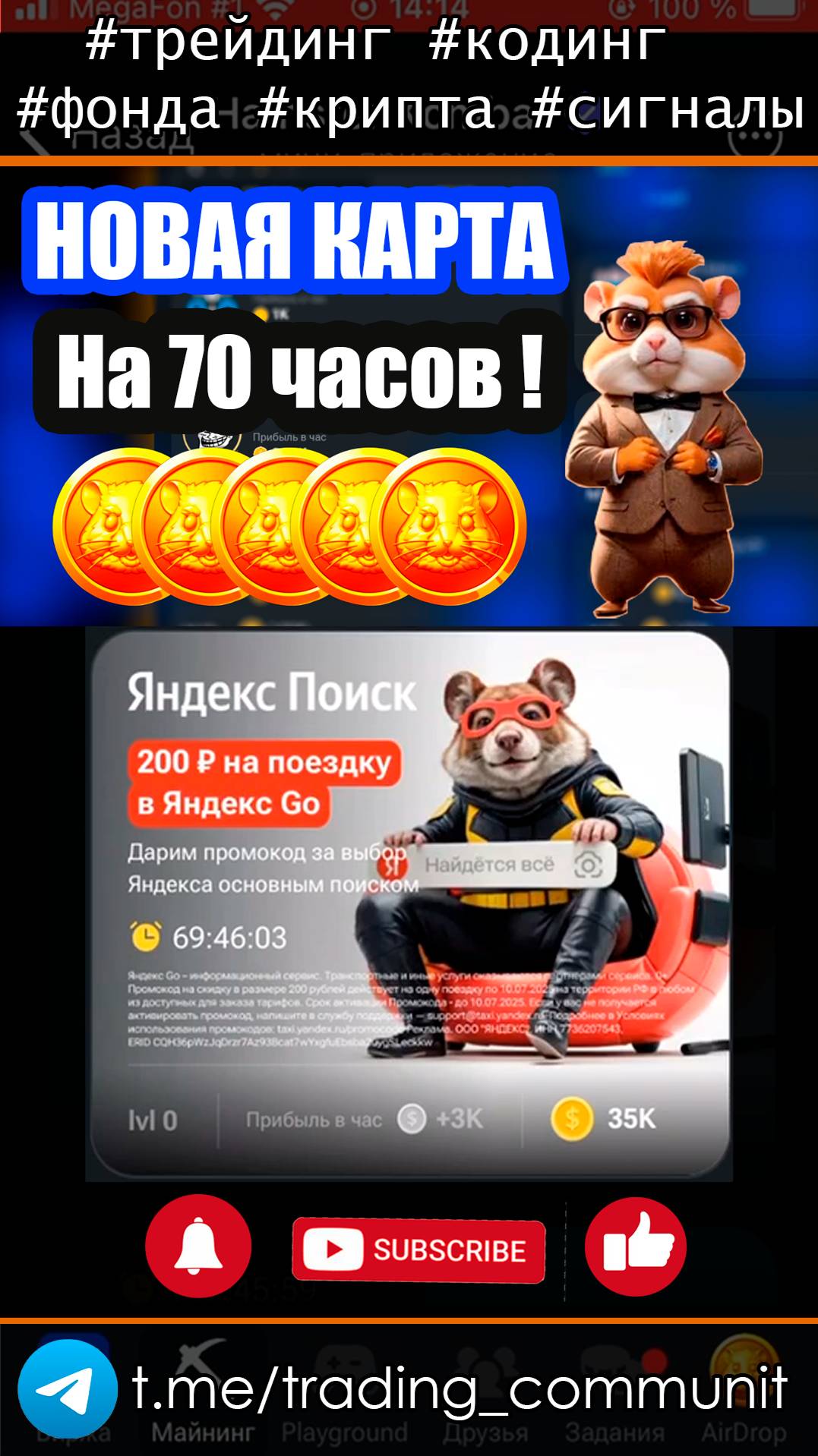 Новая карта в хомяке - Яндекс Поиск #shorts