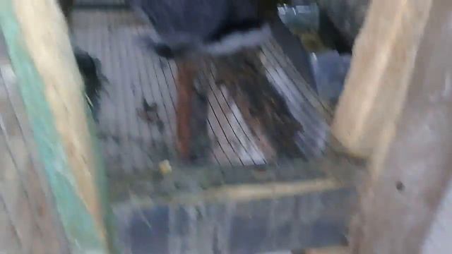 Кролики моей мини фермы и капризы с тыквой))) смотреть онлайн