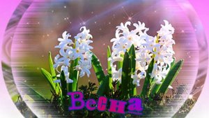 Футаж. Весна 20