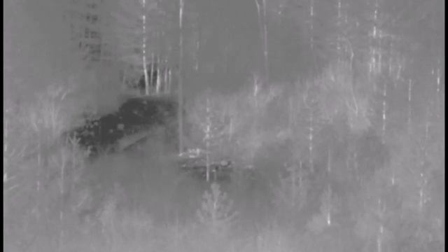 Термална насадка Pulsar Krypton стрелба на 200м и 300м смотреть онлайн