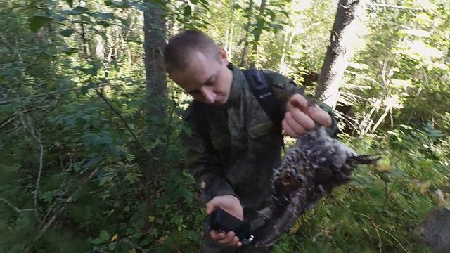 За рябчиком на болото! смотреть онлайн