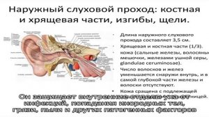 Выделения из уха