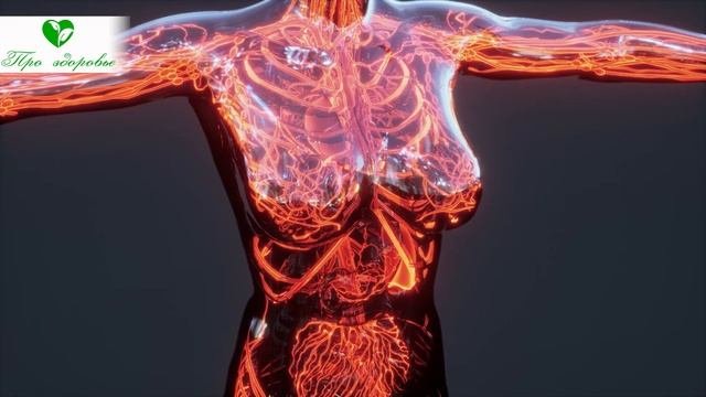 Оказалось, что даже после НЕСКОЛЬКИХ дней употребления грецких орехов можно даже
