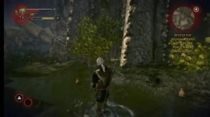 The Witcher 2 - FINISHING MOVES