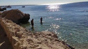 Sharm Plaza 5*. Обзор пляжа до мелочей. Лучший риф в Шарм-эль-Шейхе. Красивые кораллы и рыбки.