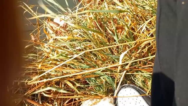 Рыбалка на Османа в Алматы| Река Весновка смотреть онлайн