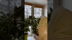 Сборник Паул либо просто Паша @mr_paul.boy