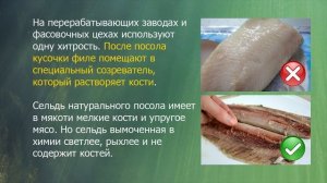 Как выбрать рыбу, чтобы не отравиться. Как определить качество рыбы и её свежесть