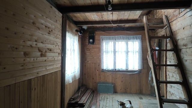 К нам пожаловал в гости лесной житель/купили дом в лесу/перевезли вещи/застряли на дороге. смотреть онлайн