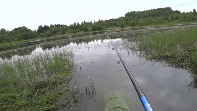Ловля Карася на Поплавочную Удочку! Утренний Жор Карася!!!