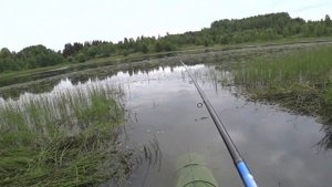 Ловля Карася на Поплавочную Удочку! Утренний Жор Карася!!!
