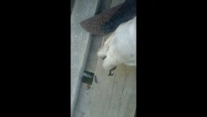 нож для гибкой черепицы