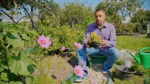 Как убрать вытоптанные места на газоне? Инструкция к применению.