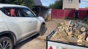 Батыр хороший прицеп