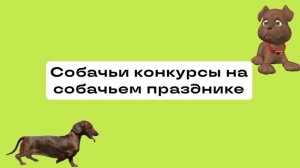 Шесть конкурсов на Первом собачьем празднике по программе «Мой район»