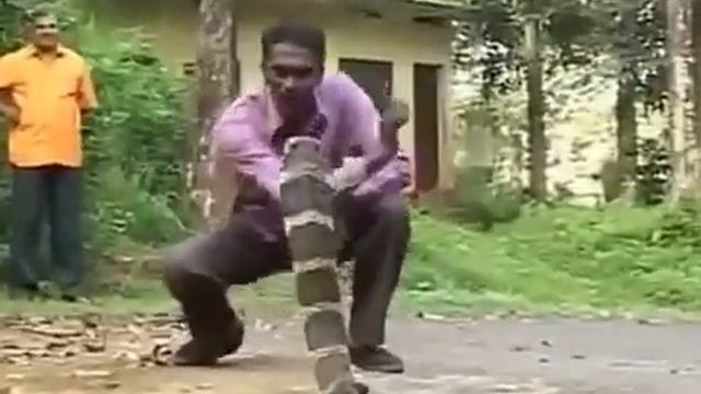 Змея убийца королевская кобра смотреть онлайн