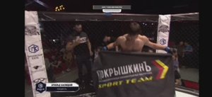Турнир MMA  "Естественный отбор"