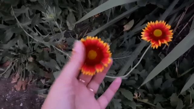 Семья из Мариуполя. Цены в п. Сартана. Влог. #мариупольвидео #мариупольсегодня #мариупольсейчас смотреть онлайн