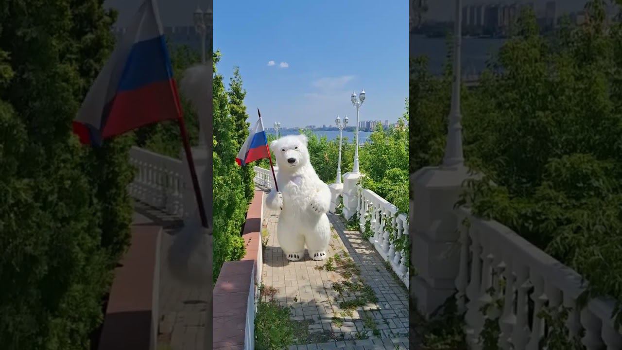 Мишка поздравляет всех с Днем России