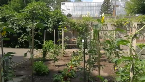 гуляем по саду Бохум