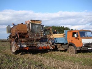 Combine harvester SKD-6 winter rye /// СКД-6 уборка озимой ржи