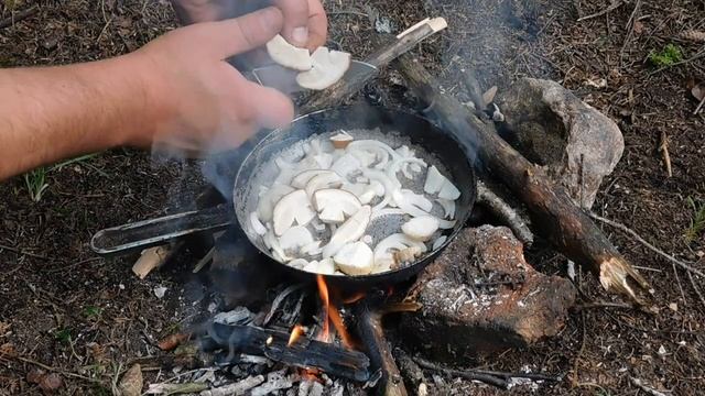 Дары леса! Готовлю на природе под пение птиц!