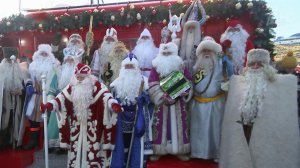 14 Дедов Морозов со всех уголков России приехали в Москву