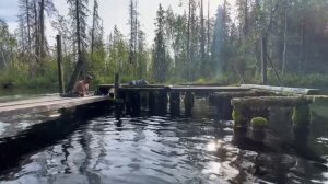 #Родники, вы мои родники.