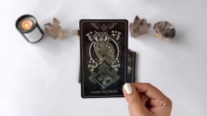 ? ORACLE DECK REVIEW & FLIP THROUGH- The Talisman Oracle ?