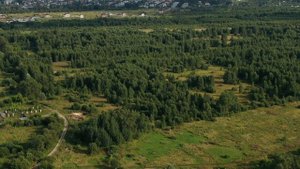Полет дрона Кулебаки-Мурзицы