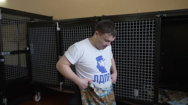 ЭТО НАДО ВИДЕТЬ! Шимпанзе Боня сделала дизайнерские брюки из одеяла!