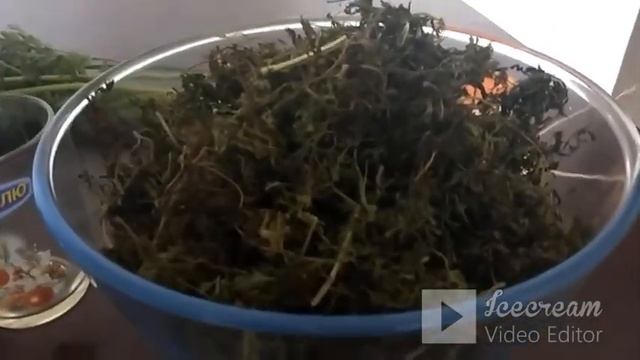 Чай из морковной ботвы.