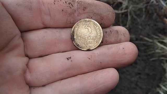 Редкие монеты СССР, значки и другие интересные находки.
