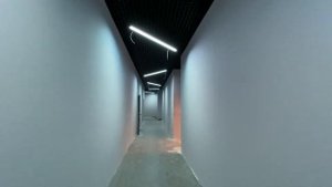 Зеленоград. Монтаж подвесного потолка Грильято