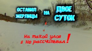 ✔ Оставил жерлицы на двое суток На такой улов я не рассчитывал