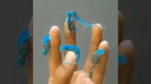 детёныши хамелеона