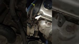 Булькающий звук.