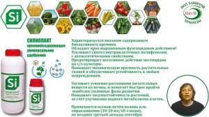 Удобрения для комнатных растений осень-зима. Растения с выраженным периодом покоя Силиплант.