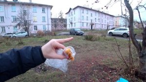 ВЗЯЛ УЛИТКУ СО СВИНИНОЙ И БОЛГАРСКИМ ПЕРЦЕМ И ЗАПИВАЮ КОФЕ КАПУЧИНО