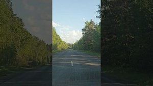 За рекой непогода