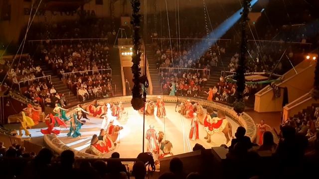 Верблюды в Луганском цирке. смотреть онлайн