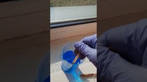 Закладываю затравочный кристалл медного купароса в насыщенный раствор!