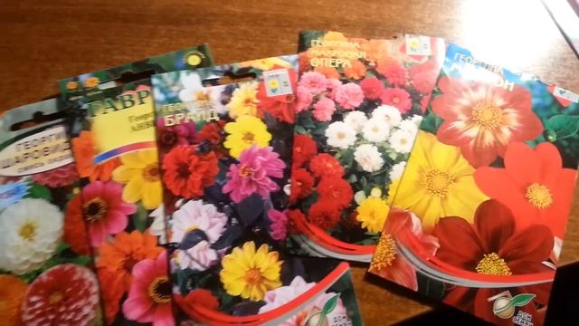 ЧТО ИЗ ЦВЕТОВ МОЖНО ПОСЕЯТЬ ПРЯМО В ОТКРЫТЫЙ ГРУНТ смотреть онлайн