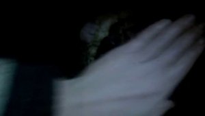 Дикое мясо у лошади на задней ноге