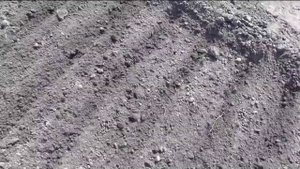 Как быстро и просто посеять морковь