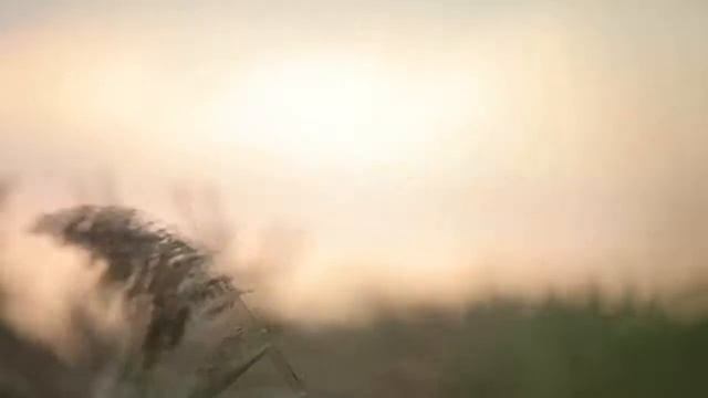 BERNINA 8 ей серии BERNINA 830 смотреть онлайн