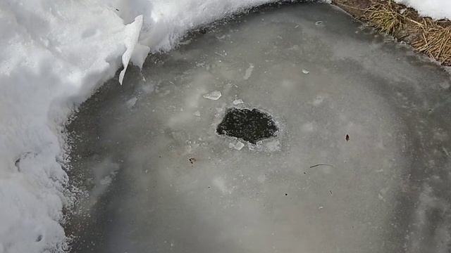 Самодельный аэратор в пруд на солнечной батарее отработал всю зиму и продолжает работать